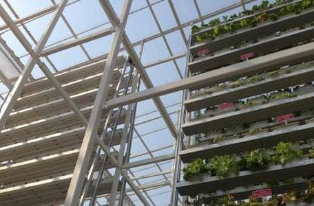 Vertical Farming