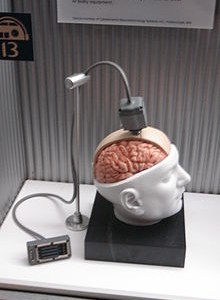 Primitive Mind-Machine Interface?