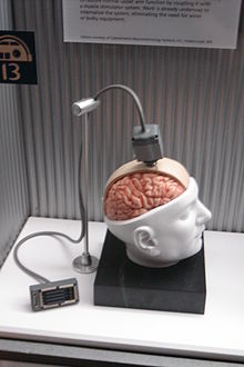 Primitive Mind-Machine Interface?