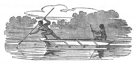 NATIVES_OF_ENDEAVOUR_RIVER_IN_A_CANOE,_FISHING